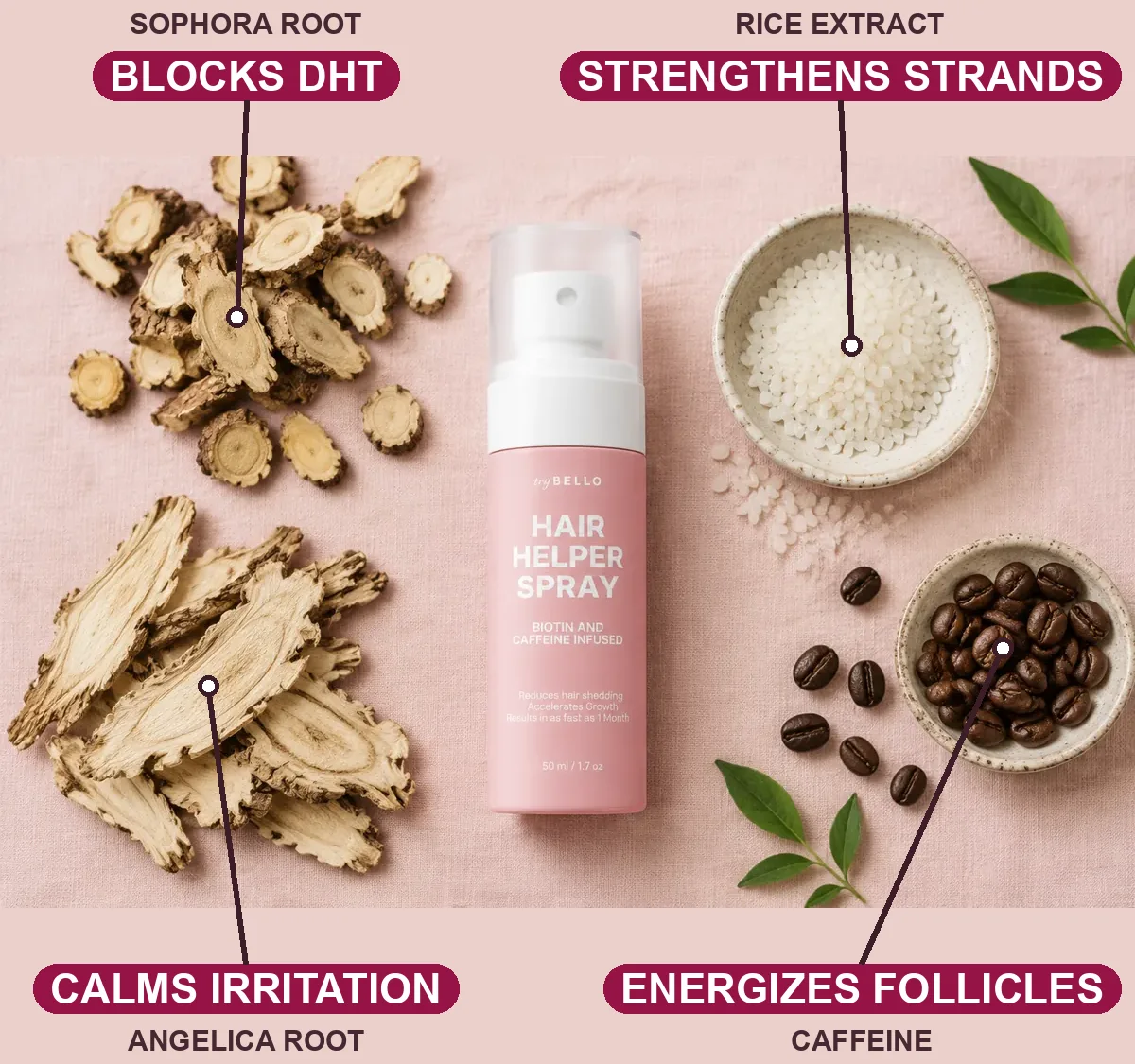Sophora root blocks DHT, rice extract strengthens strands, Angelica root calms irritation, caffeine energizes follicles